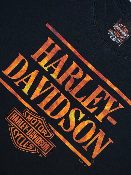 Vintage Harley Davidson Kingston Tee