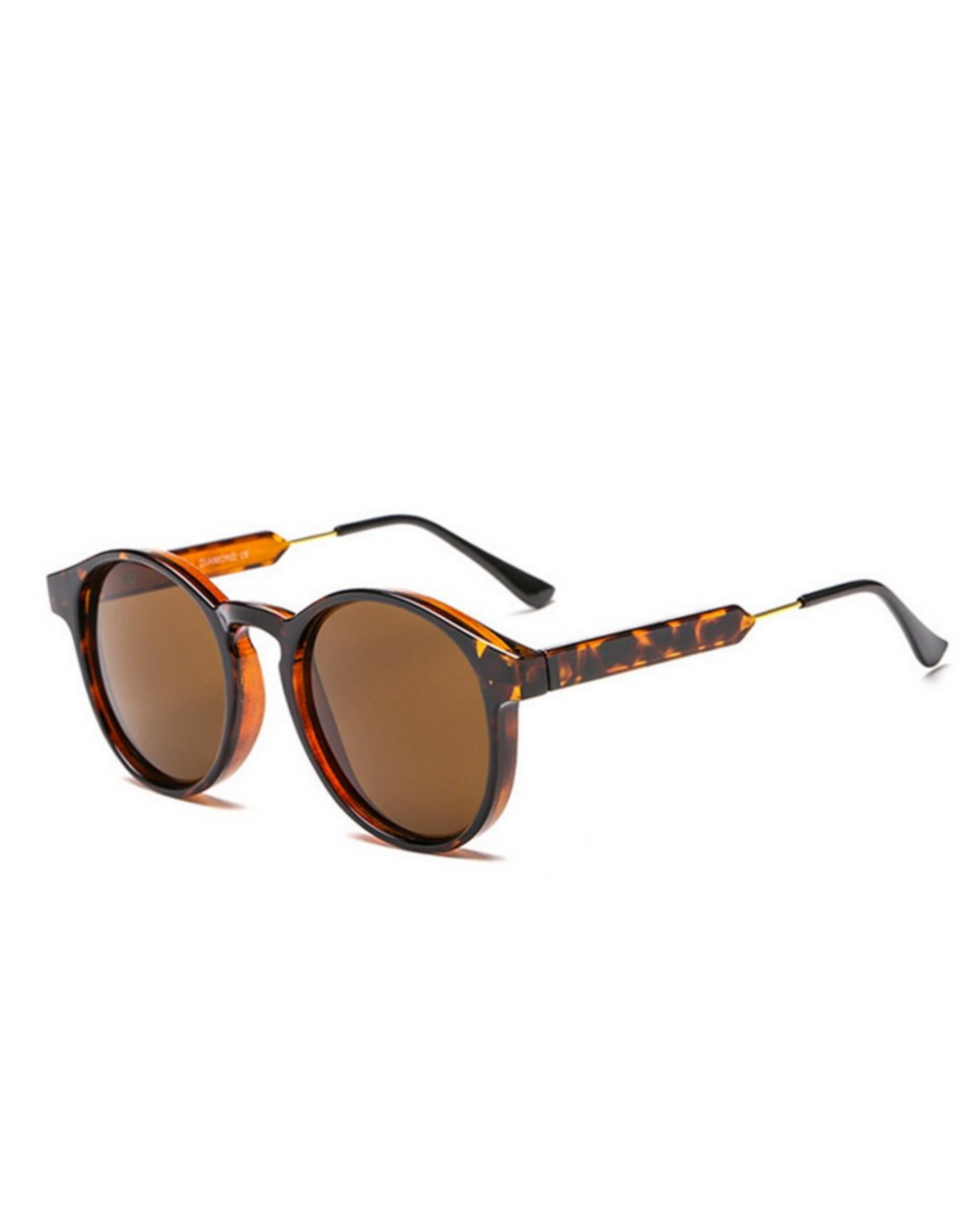 Ashton Sunglasses In Tortoise - The Details Boutique